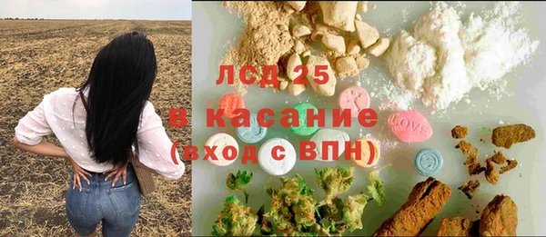 крисы Аркадак