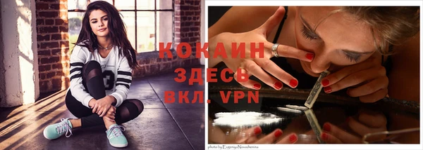 крисы Аркадак