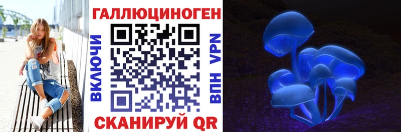 что такое блэк спрут рабочий сайт Псилоцибиновые грибы GOLDEN TEACHER Балей